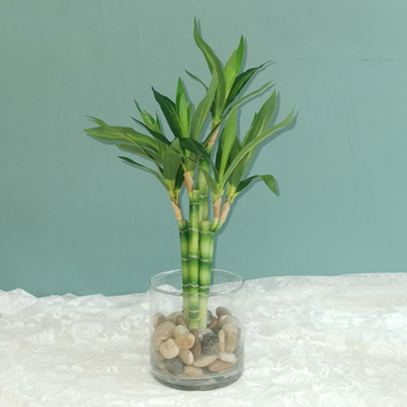 Aquarium Fish To Buy - 新しい40cm人工ラッキーバンブー多肉植物フェイクプラントフラワー、緑の鉢植え、庭、屋外ダイニングテーブル、水槽、家の装飾に。