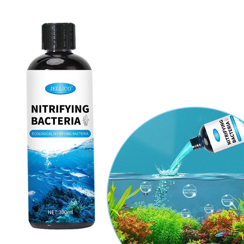 Aquarium Fish Items - 硝化菌液体水槽浄水器水族館養魚医療用品金魚鉢水処理製品