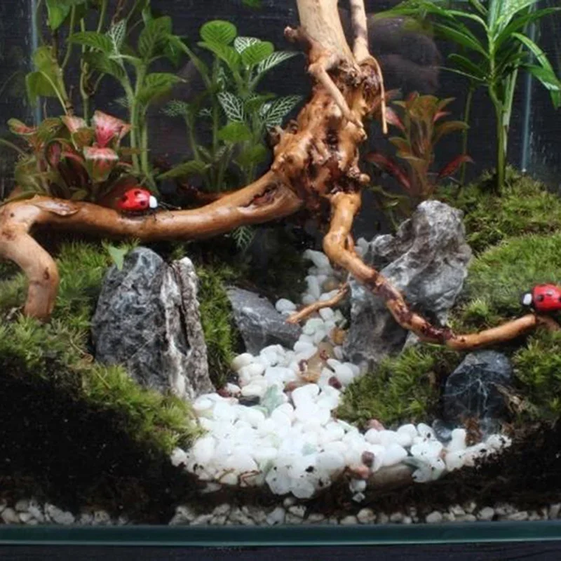 水族館、魚のタンク、爬虫類の根の植物、木の装飾、装飾アクセサ - Aquarium Fish Hideout のレビューと価格