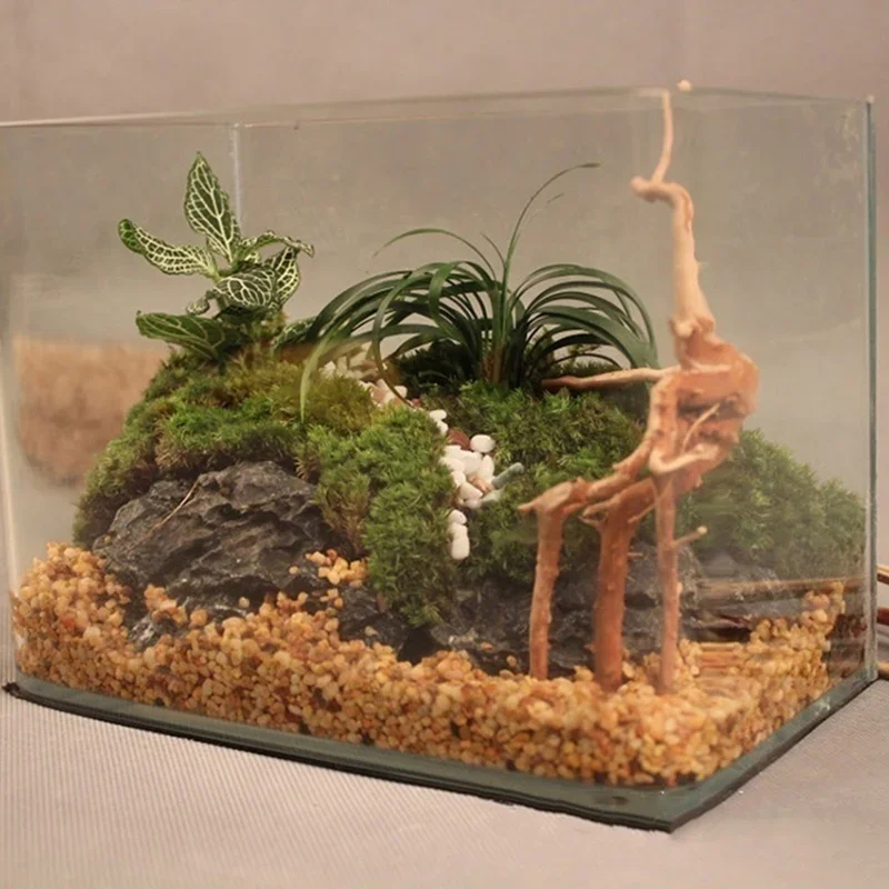 水族館、魚のタンク、爬虫類の根の植物、木の装飾、装飾アクセサ - Aquarium Fish Hideout のレビューと価格