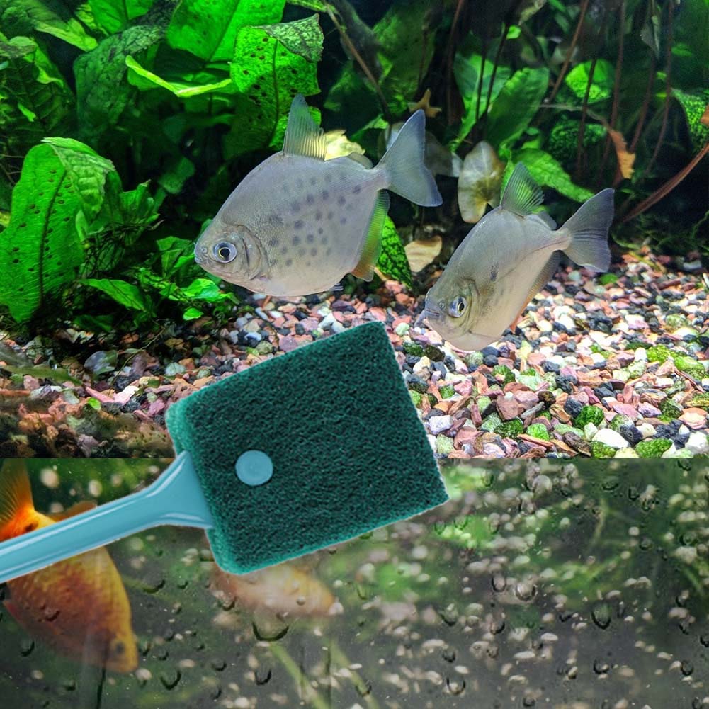 両面使える水槽用スポンジクリーナー、ロングハンドル付き水槽藻 - Cleaner Fish Aquarium のレビューと価格