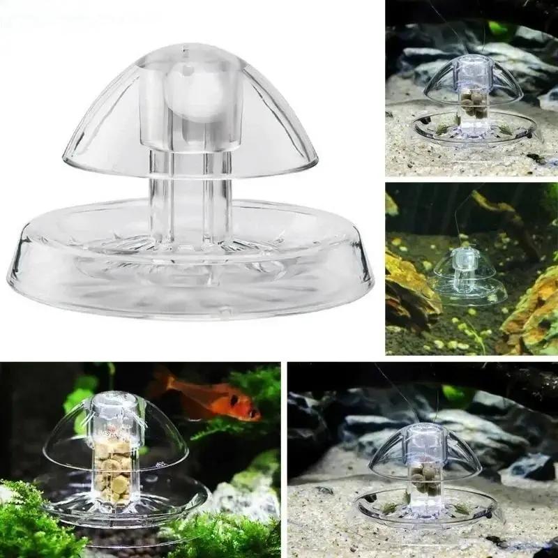 2026年新発売 6/8CM 透明プラスチック製カタツムリ捕 - Aquarium Fish To Buy のレビューと価格