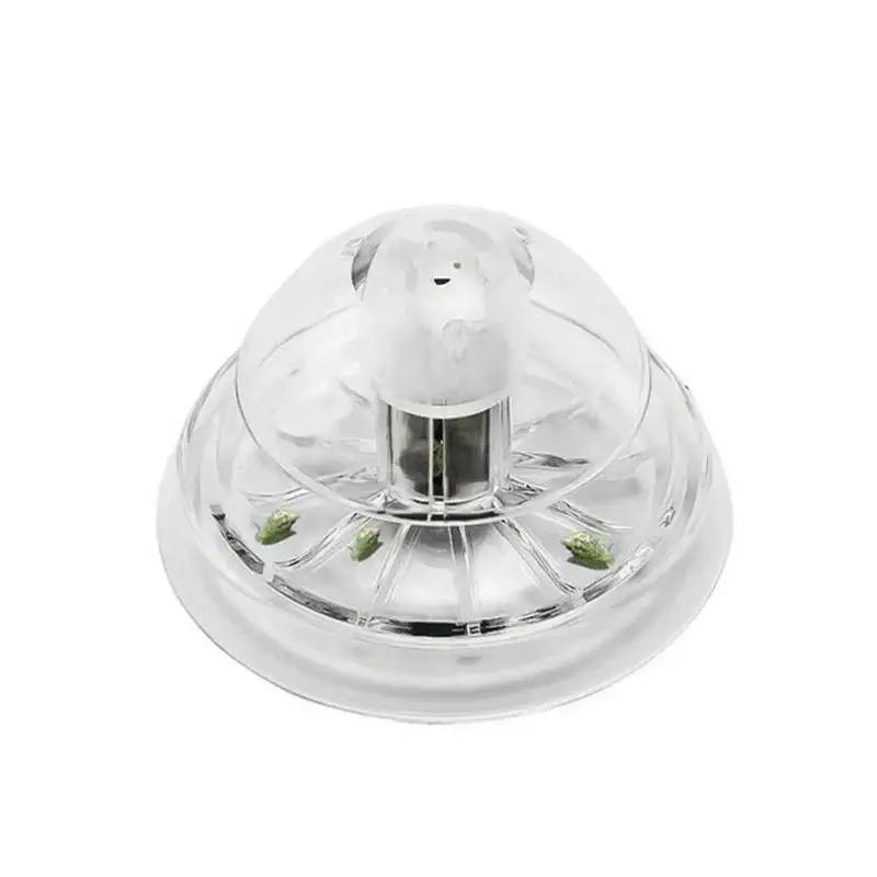 2026年新発売 6/8CM 透明プラスチック製カタツムリ捕 - Aquarium Fish To Buy のレビューと価格