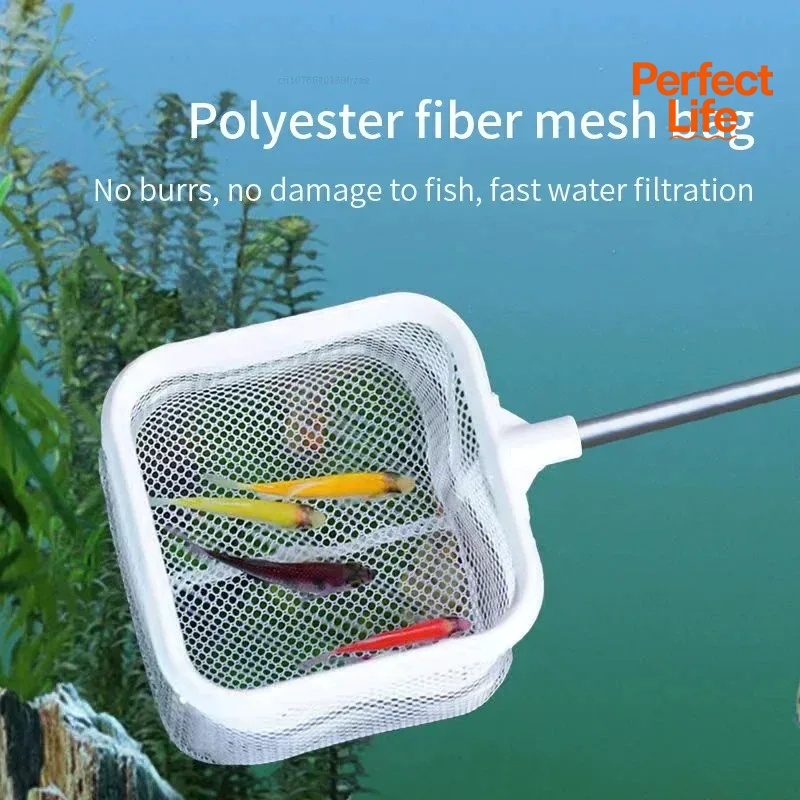 1、2個入りステンレス鋼製釣り用ランディングネット、防錆耐腐 - Aquarium Fish Net のレビューと価格