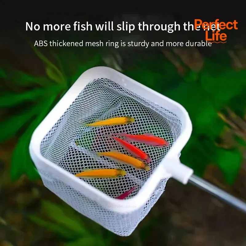 1、2個入りステンレス鋼製釣り用ランディングネット、防錆耐腐 - Aquarium Fish Net のレビューと価格