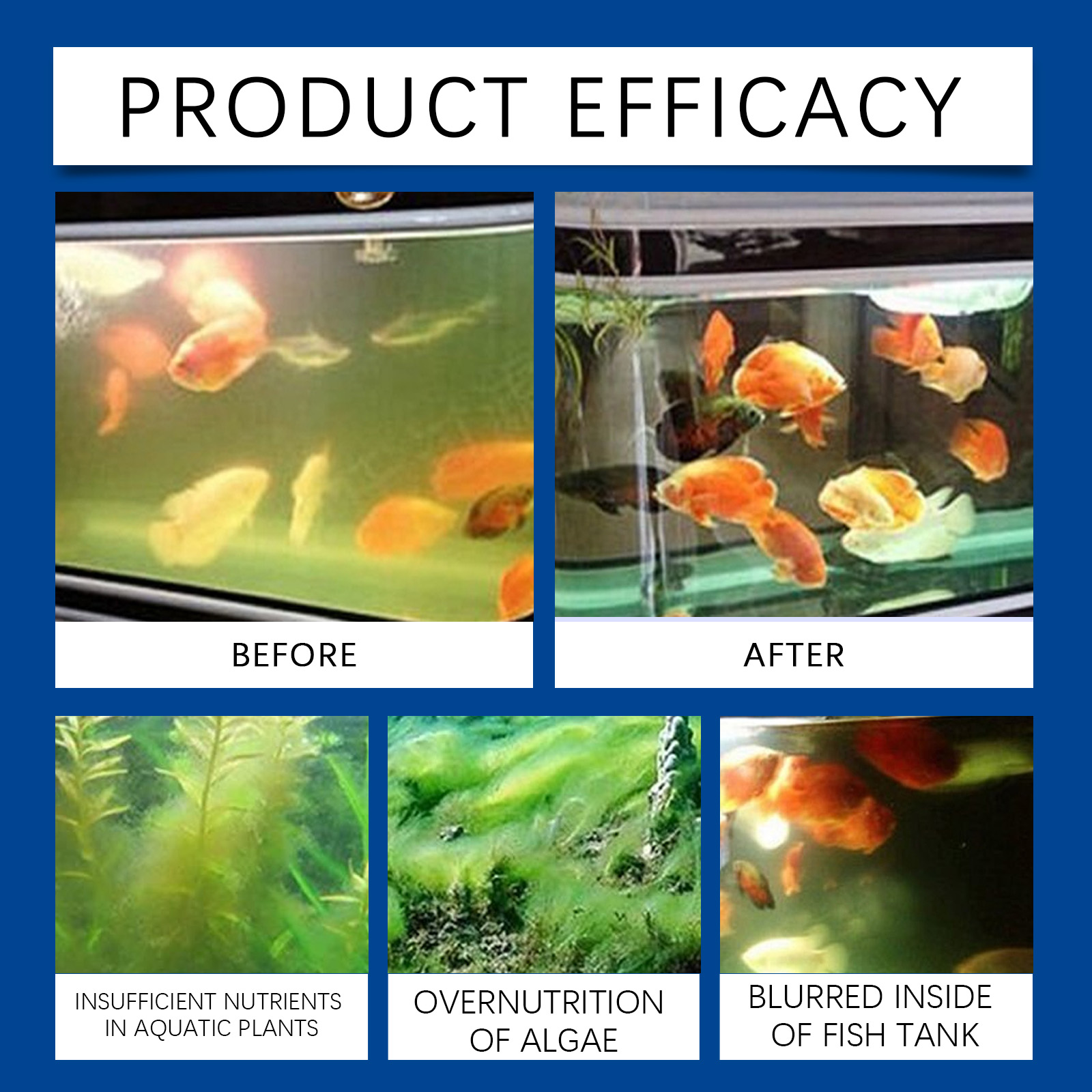 水族館の水精製器 100 ミリリットル淡水海水水槽クリーナー - Cleaner Fish Aquarium のレビューと価格