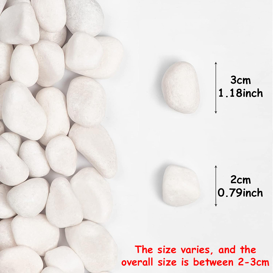 200/400g ホワイト高研磨天然玉石 2-3cm 中庭景 - Aquarium Fish To Buy のレビューと価格