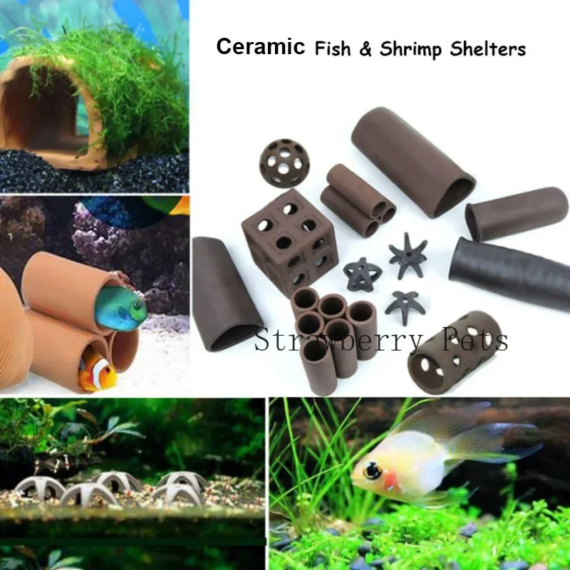 セラミック水族館の装飾魚エビシェルターハウス陶器サソリハウス - Aquarium Fish Hideout のレビューと価格