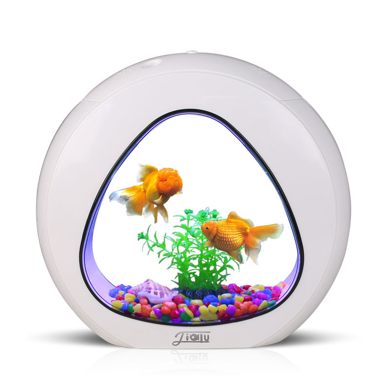 佳露クリエイティブデスクトップ水槽、小型観賞魚水槽、生態系水 - Aquarium Fish Delivery のレビューと価格