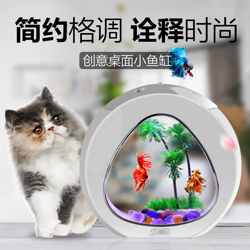 佳露クリエイティブデスクトップ水槽、小型観賞魚水槽、生態系水 - Aquarium Fish Delivery のレビューと価格