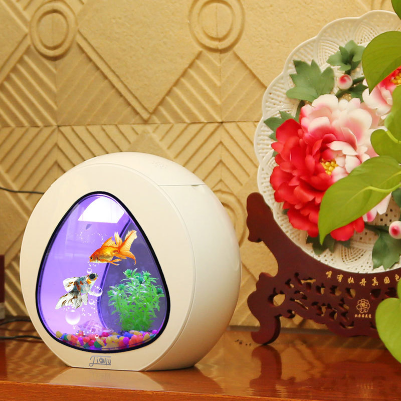 佳露クリエイティブデスクトップ水槽、小型観賞魚水槽、生態系水 - Aquarium Fish Delivery のレビューと価格