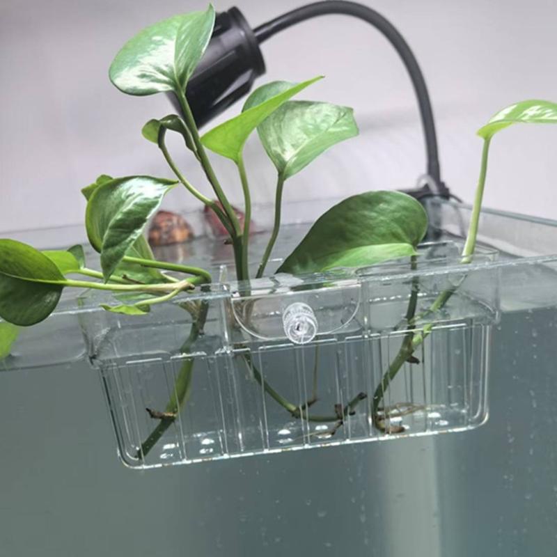 水耕栽培用植物バスケット 食品グレード 水生植物ホルダー 1 - Aquarium Fish Usa のレビューと価格