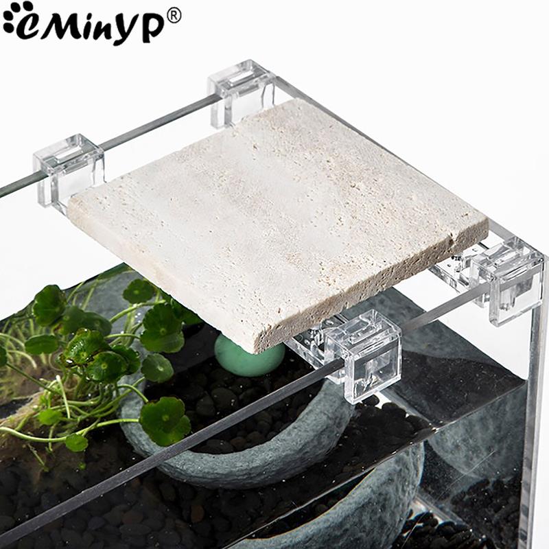 4 個の水槽アクリルクリップ 5.5 ミリメートル〜 15  - Aquarium Fish Items のレビューと価格