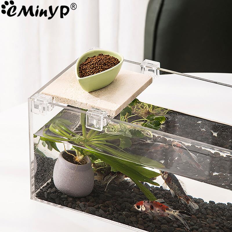4 個の水槽アクリルクリップ 5.5 ミリメートル〜 15  - Aquarium Fish Items のレビューと価格