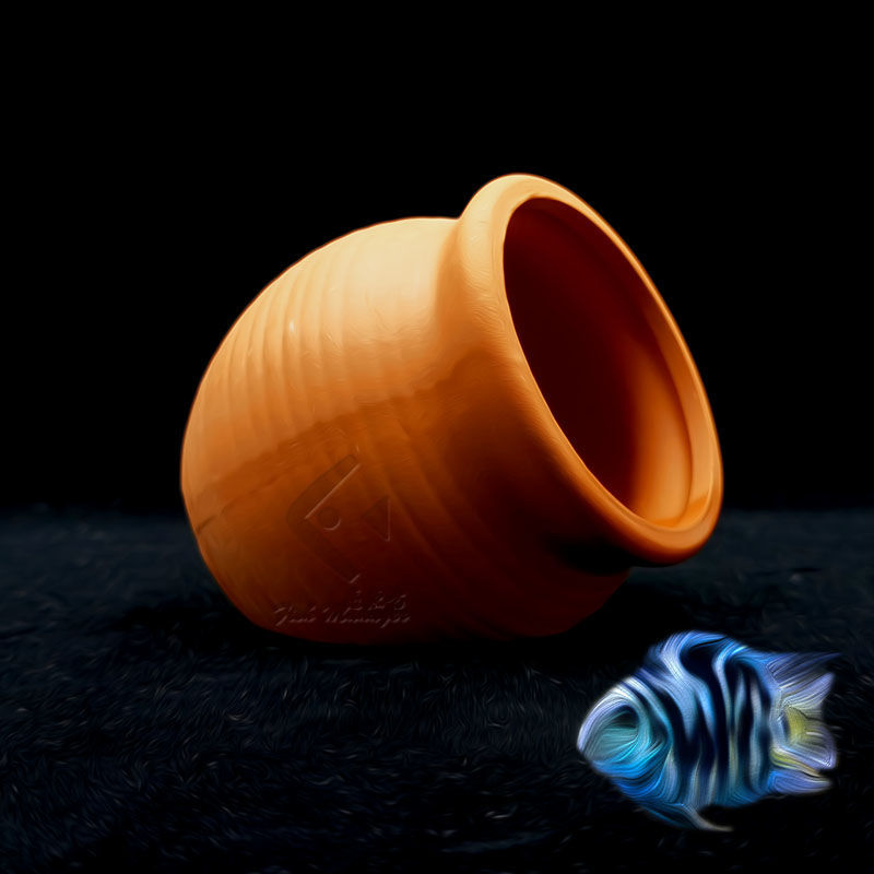 ミニセラミック水族館,水槽,エビ,麻,粘土,造園,装飾品 - Aquarium Fish Hideout のレビューと価格
