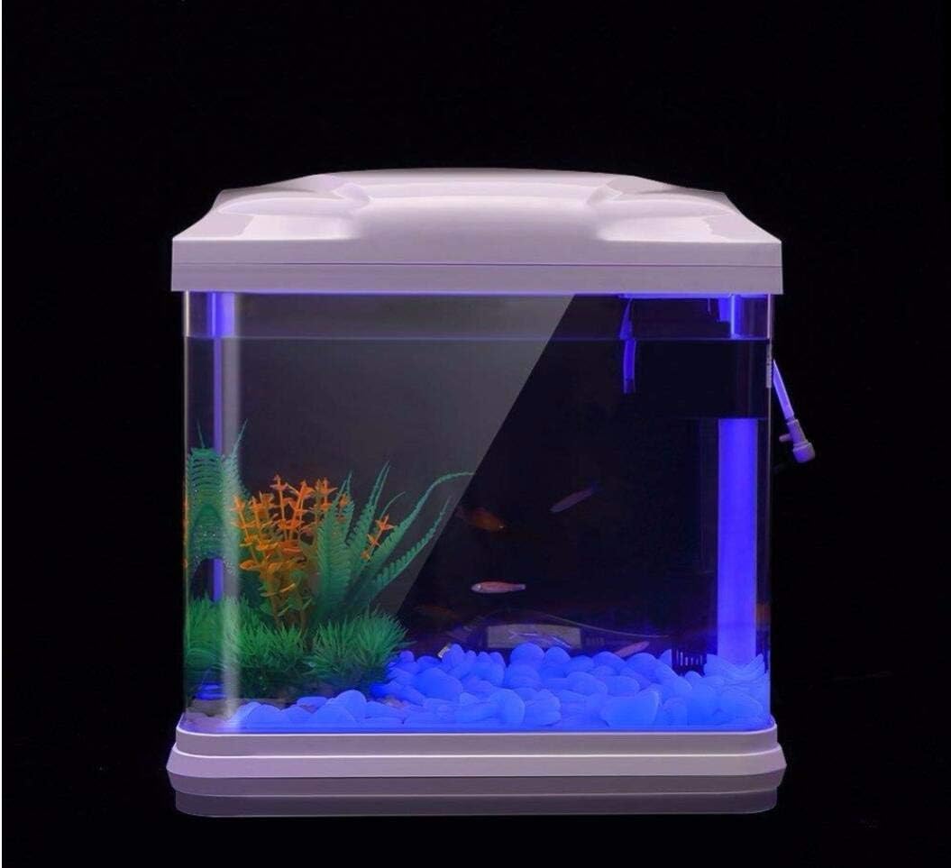 水槽岩グローブルー小石庭用水槽水族館植木鉢盆栽歩道私道 - Aquarium Fish To Buy のレビューと価格