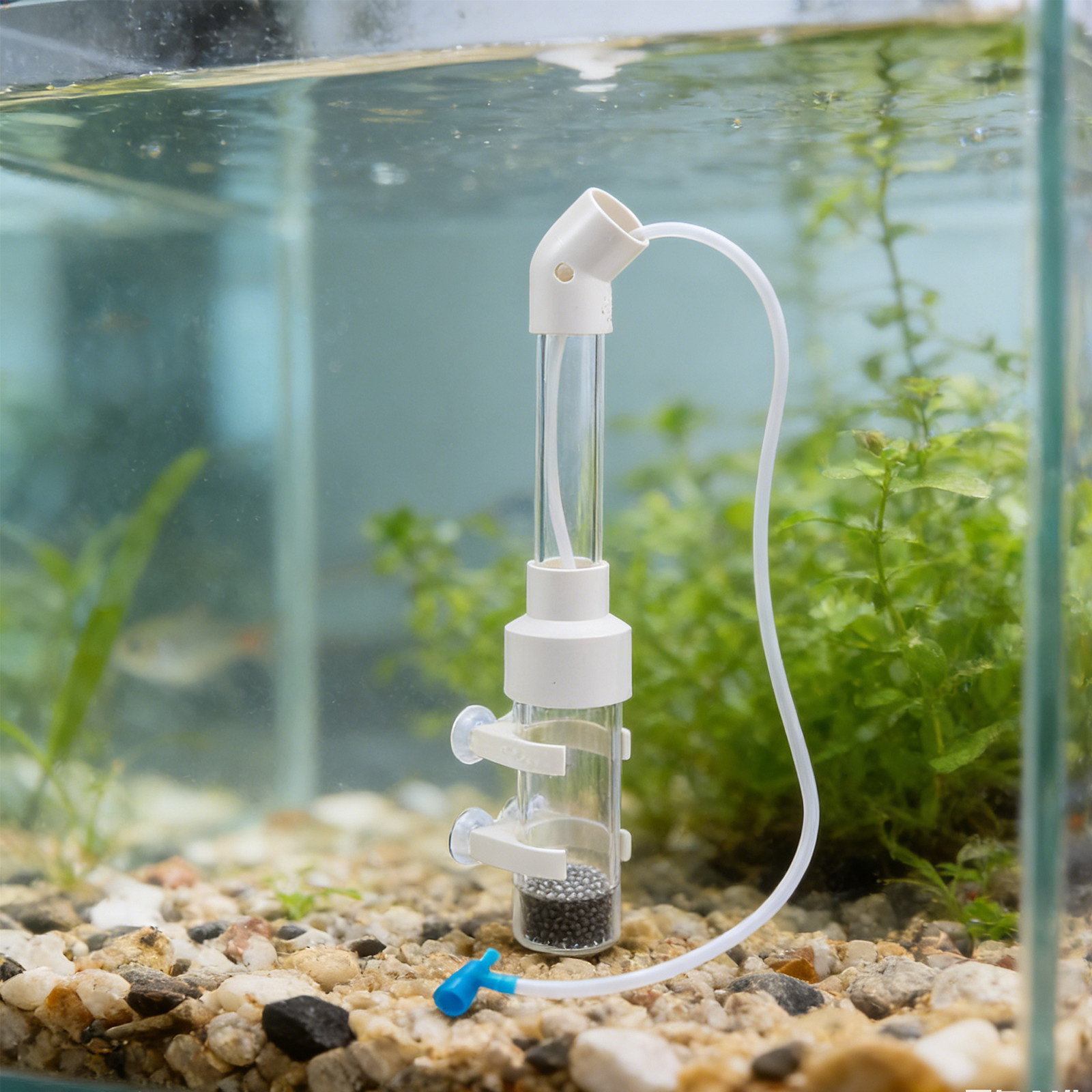 2個セットの魚卵孵化器キット。自動式で、40mmの透明なタン - Aquarium Fish Usa のレビューと価格