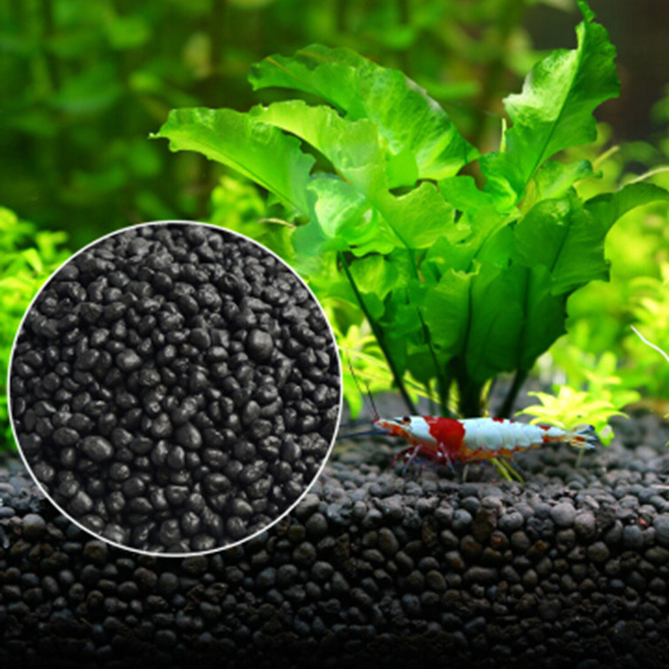 水族館植物の種子,水槽の素材,砂,土壌肥料,魚の手入れ,淡水 - Aquarium Fish To Buy のレビューと価格