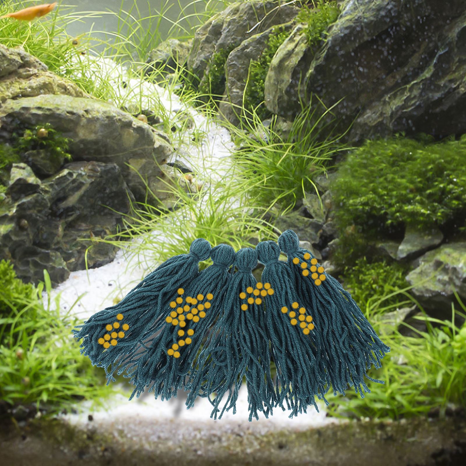 養魚場用の孵化場モップ,5個,バケツの装飾,毛糸,隠れ家,繁 - Aquarium Fish Hideout のレビューと価格