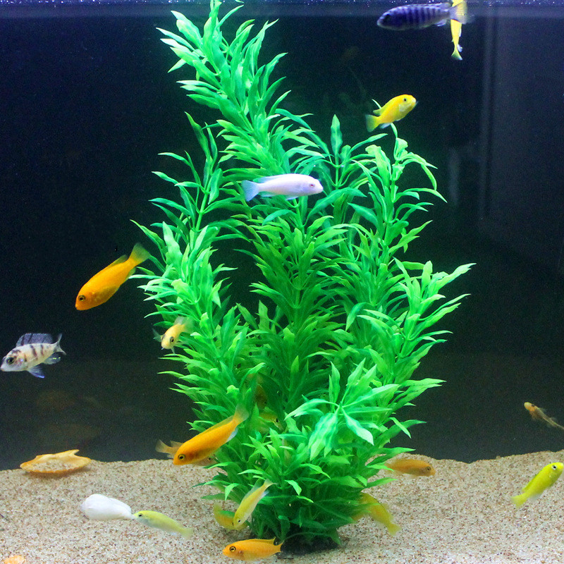 人工水槽50cm,珍しい植物,水族館,偽の竹の葉,水草,プラ - Aquarium Fish To Buy のレビューと価格