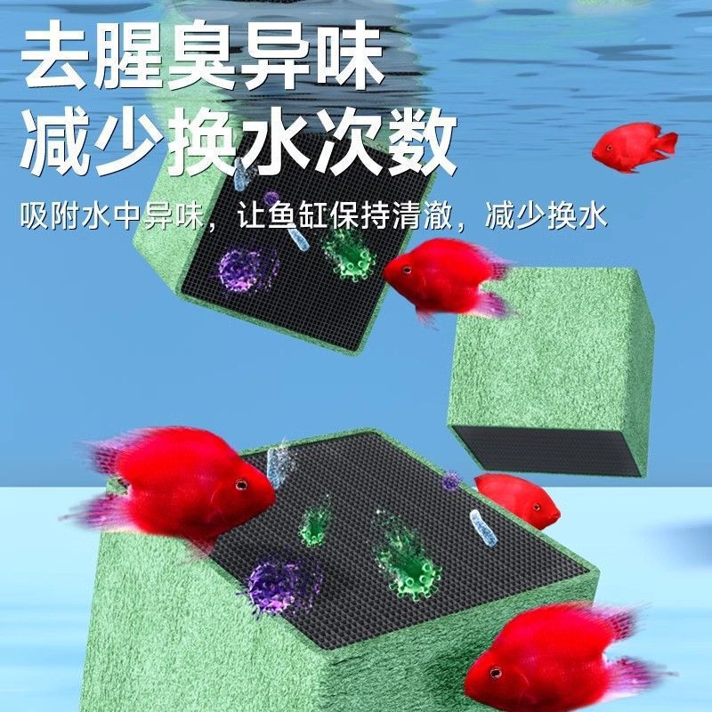 魚浄化キューブ大型家庭用水槽システム生態系水槽アクアリウムフ - Aquarium Fish Delivery のレビューと価格