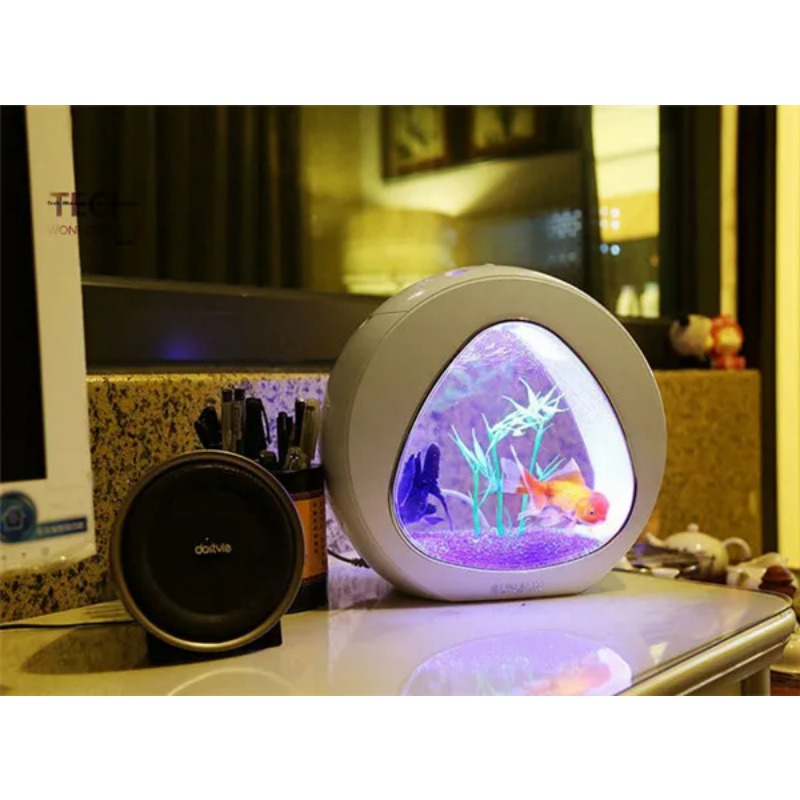 サンサン アクリル水槽 エコロジー水槽 オフィスデスクトップ - Aquarium Fish Big Size のレビューと価格