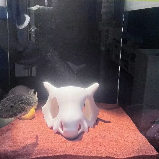 3Dプリント製の魚、エビ、爬虫類用隠れ家、アニメ風骨の頭蓋骨 - Aquarium Fish Hideout のレビューと価格